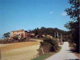 Immobili rurali, Loc. Gragno, Chiusi (SI)